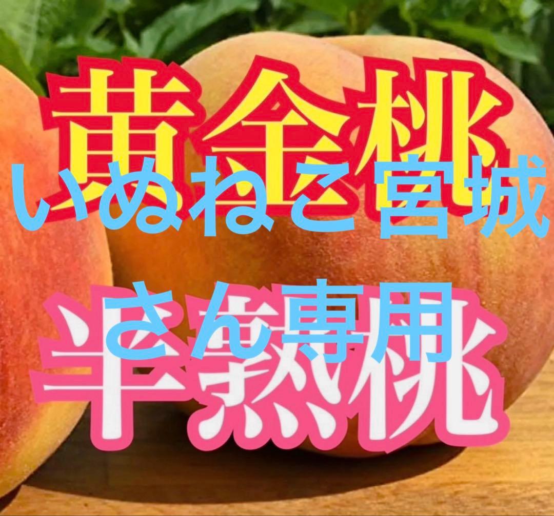 送料無料‼︎黄金桃✖️半熟桃mix 10kg箱満杯詰め 旨い