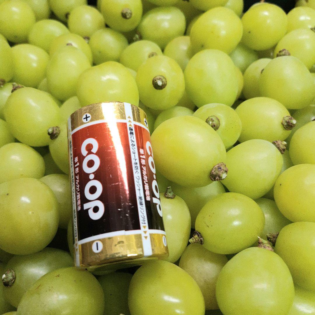 シャインマスカット徳用17キロ入りの粒バック入りになります。