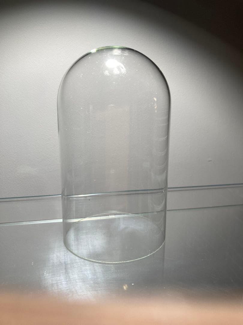 イギリスビクトリアングラスドームオブジェディスプレイ店舗什器蚤の市ガラスケース