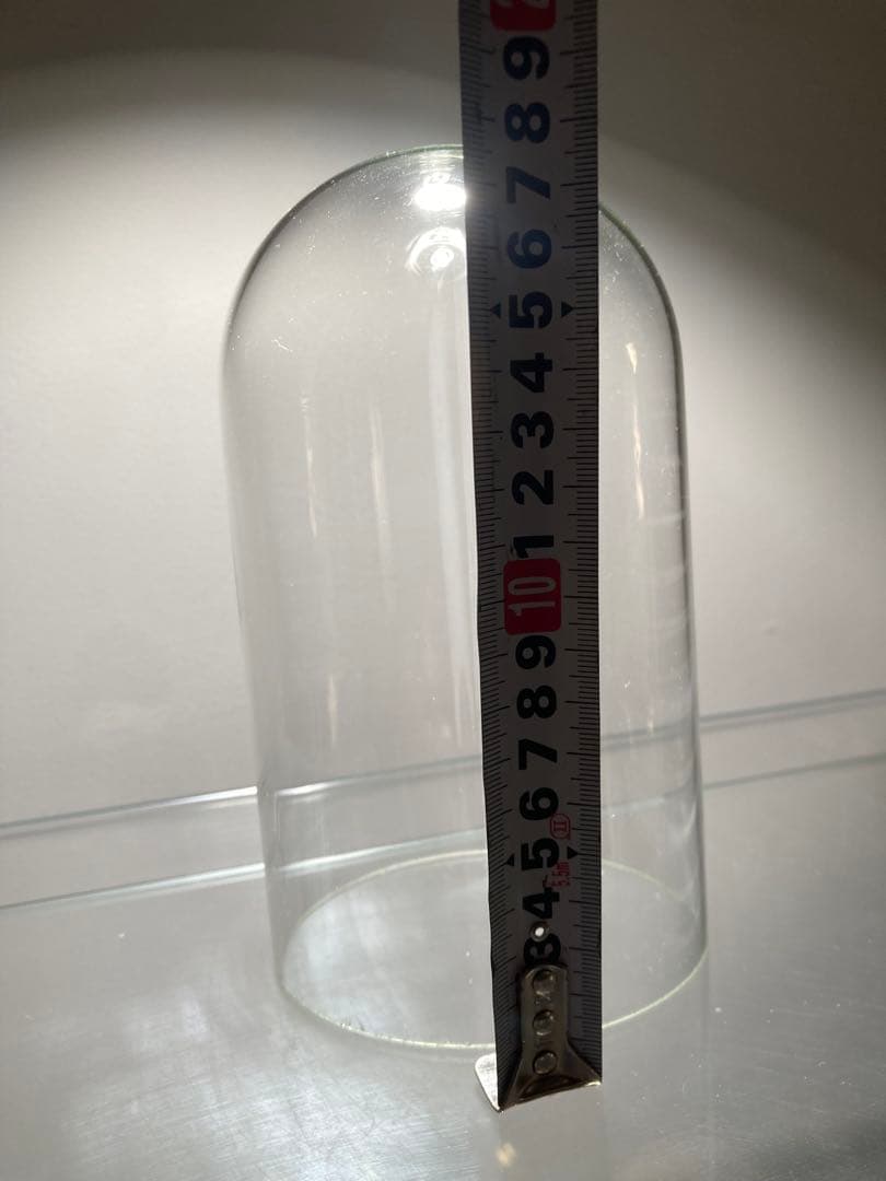 イギリスビクトリアングラスドームオブジェディスプレイ店舗什器蚤の市ガラスケース