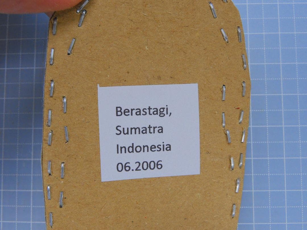 標本 Very big Odontolabis latipennis 68mm