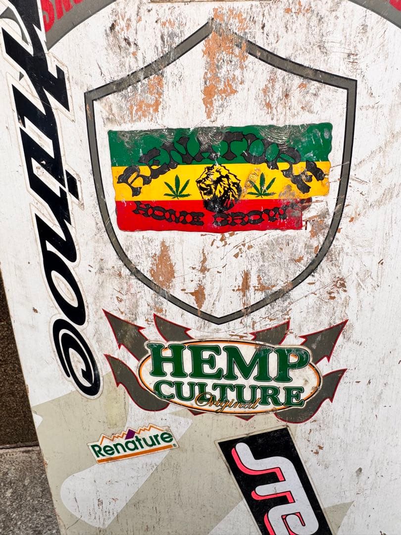 Carver コンプリートスケートボード