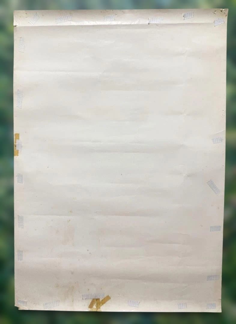 ファングッズ Godzilla vs. Charles Barkley Poster 1992