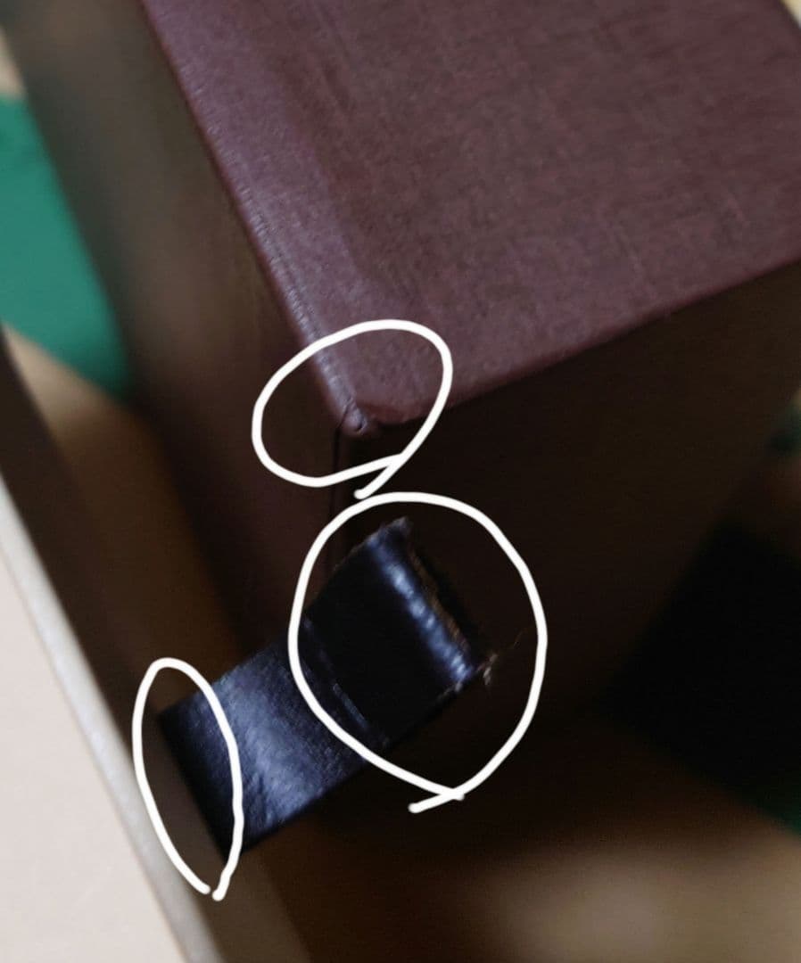 ルイヴィトン エピ  アジェンダ タイガ・ライン