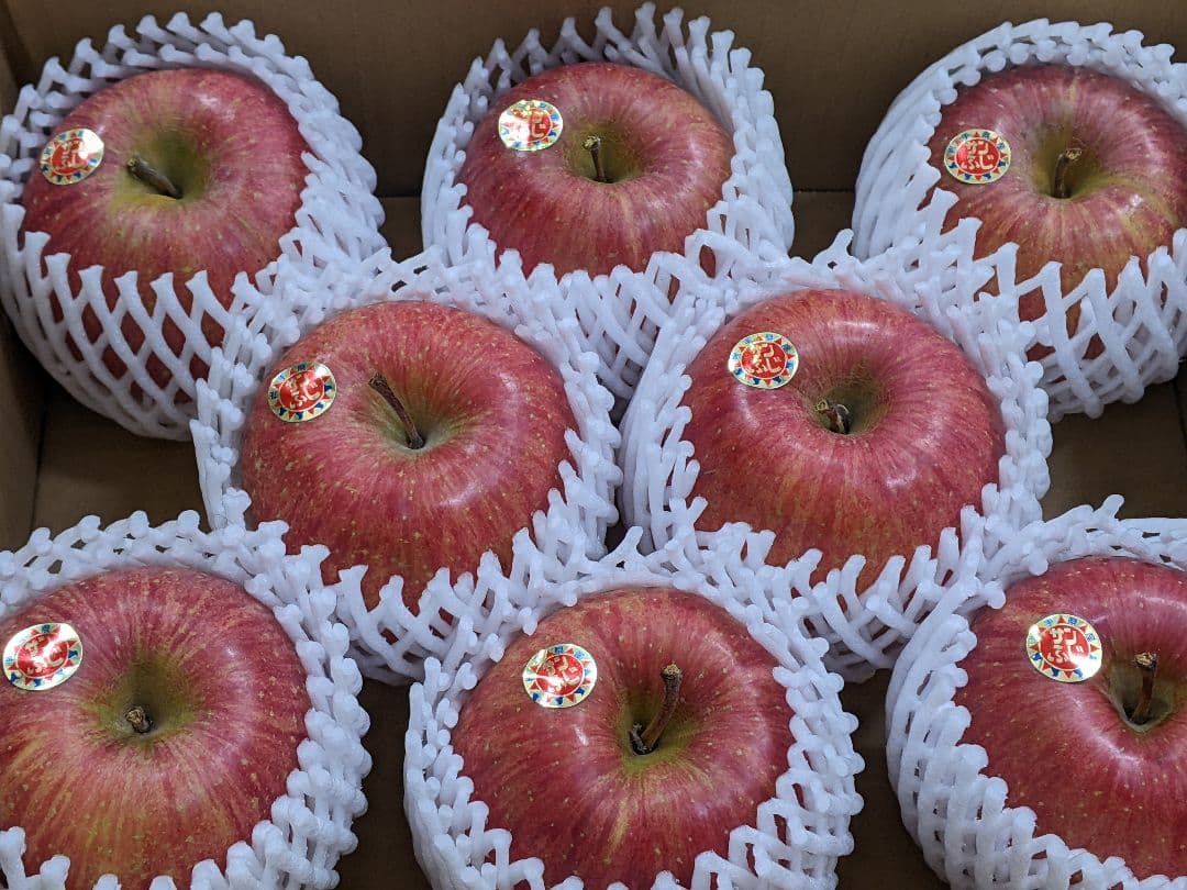 贈答用りんご サンふじ１０ｋｇ 岩手県産 特秀品
