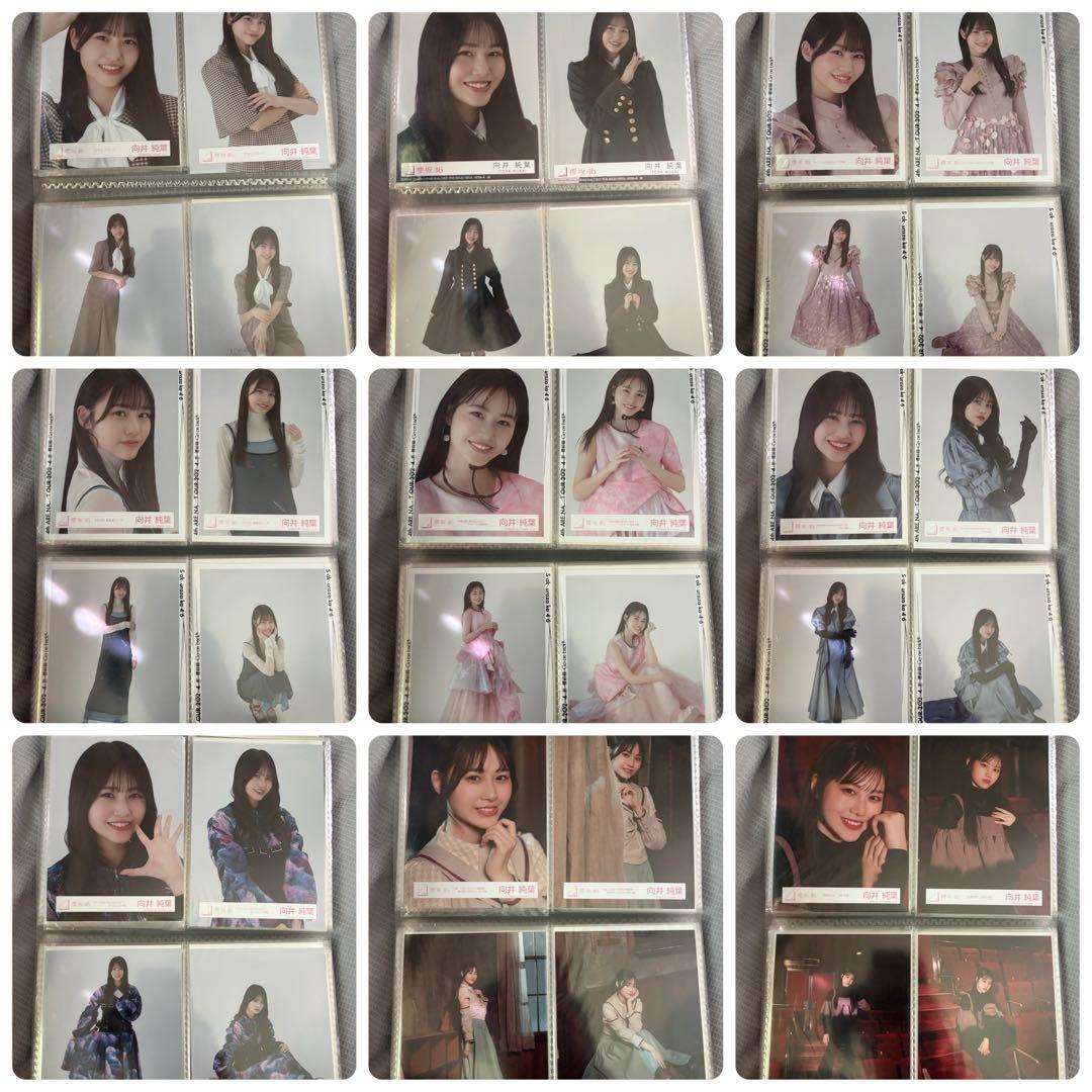 櫻坂46 向井純葉 生写真 コンプ まとめ売り
