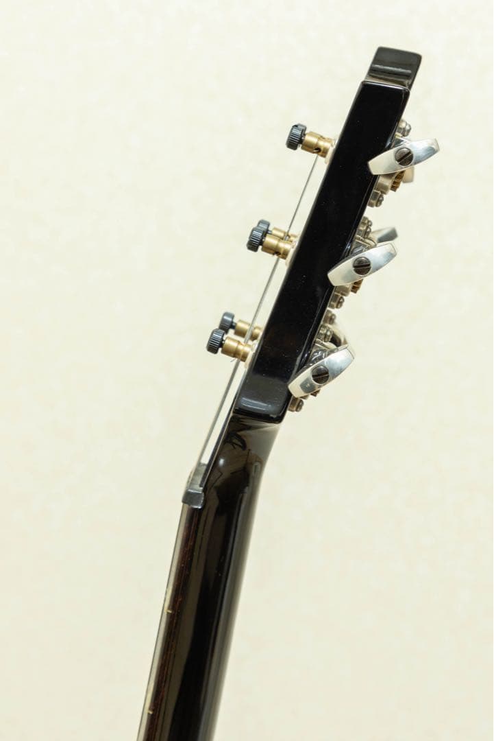 ギター PRS SPECIAL 22 SEMI-HOLLOW (2023)