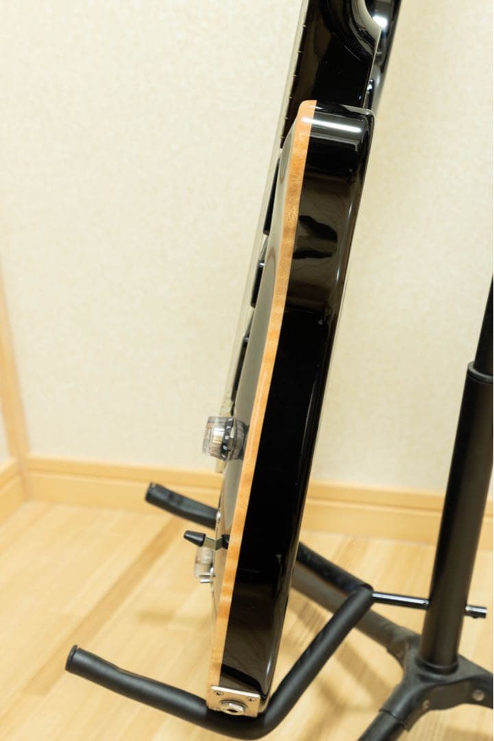 ギター PRS SPECIAL 22 SEMI-HOLLOW (2023)