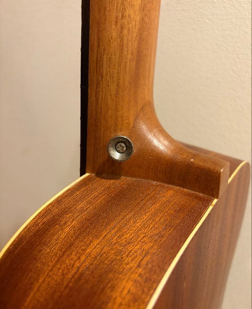 リメンバーミー コルドバ Cordoba ミニギター