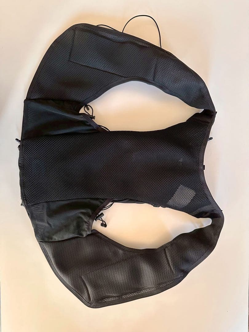 SALOMON ADV SKIN 12 フラスク付き