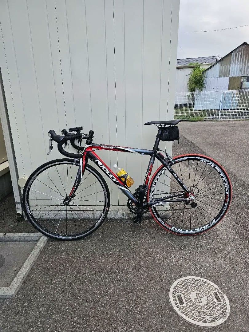に*ー様 RIDLEY ロードバイクフレームのみ