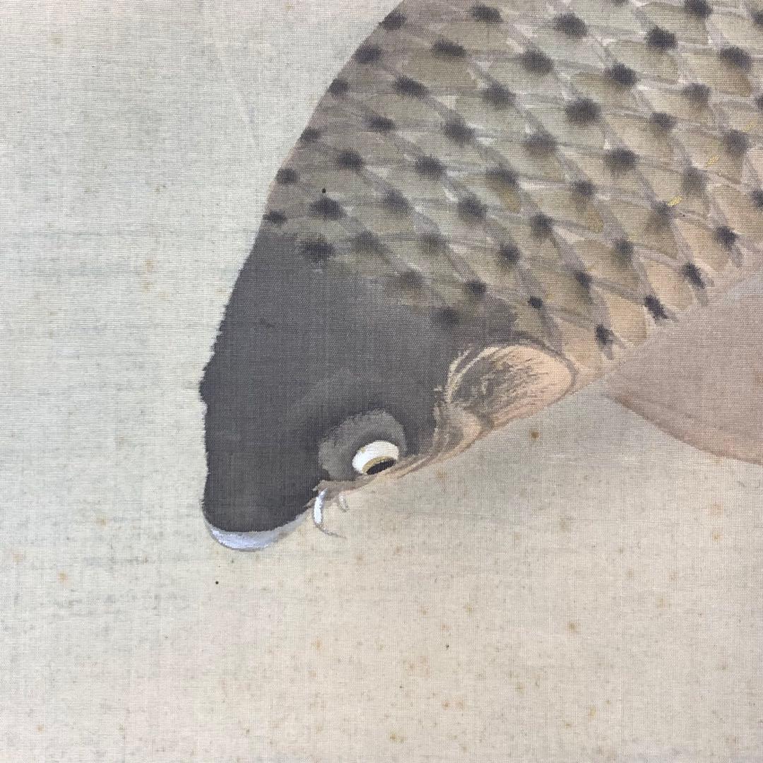 掛軸 光雪 鯉 木箱 3-20