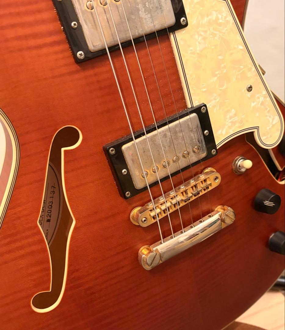 ギター Deluxe Mini DC Limited Edition MWLNT