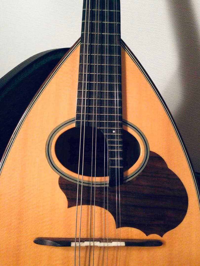 ◉鈴木バイオリン SUZUKI マンドリン M-30 ハードケース スズキ◉美品