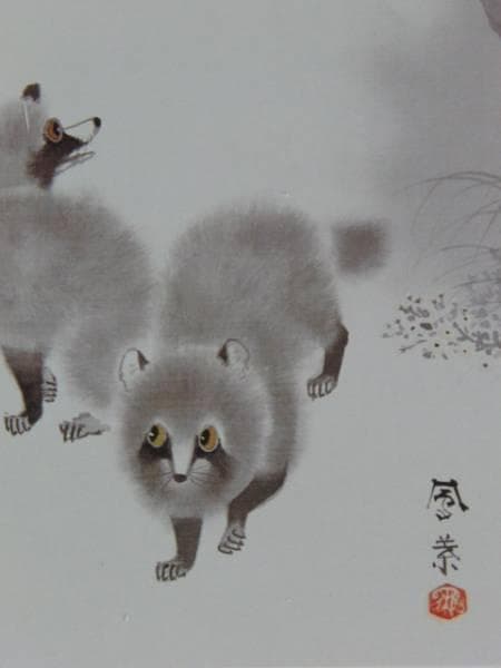 斉藤鳳葉、狸、画集より、希少、新品額付