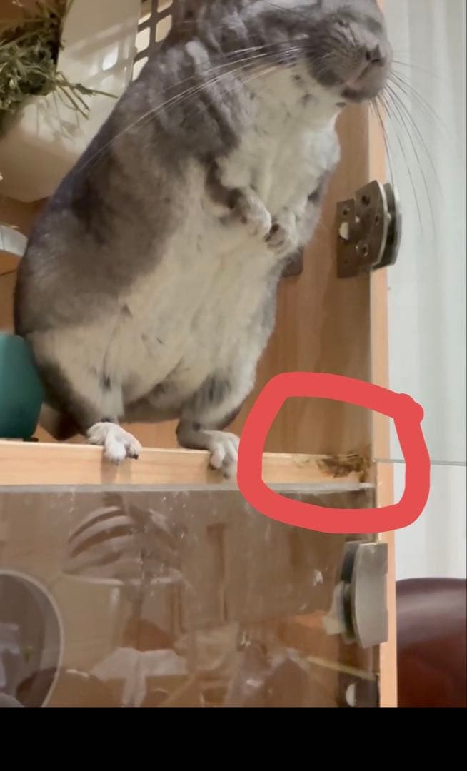 チンチラ等小動物ゲージ