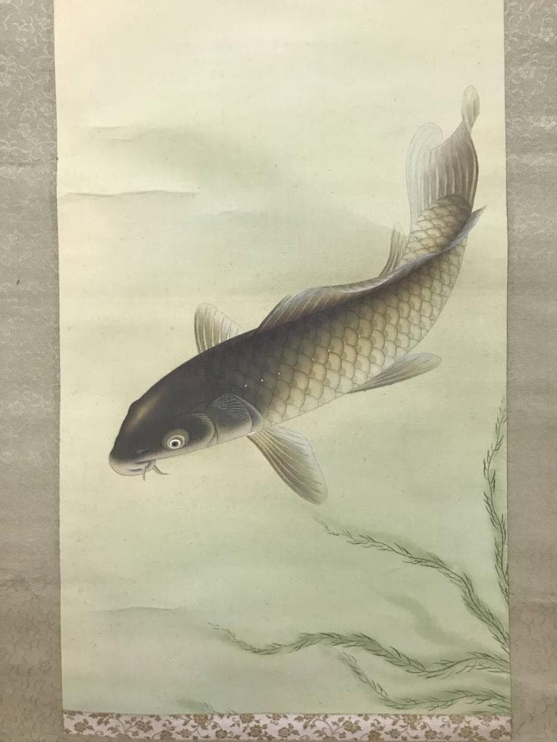 【真作】小林柏陽/師　西村五雲/遊鯉図/鯉図/掛軸/名家伝来/AC-630