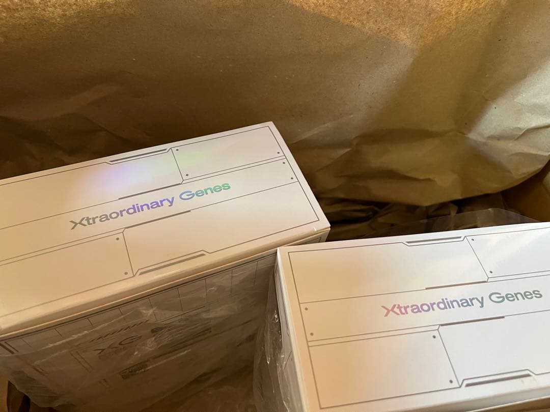 XG OFFICIAL LIGHT STICK 2個