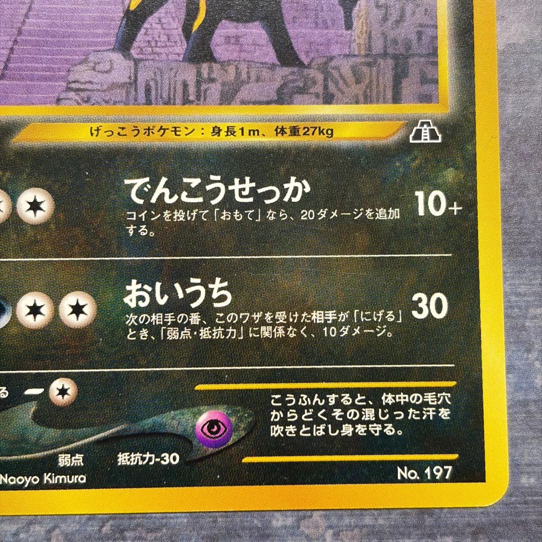 【美品】ブラッキー プレミアムファイル2 PROMO 第2世代　旧裏