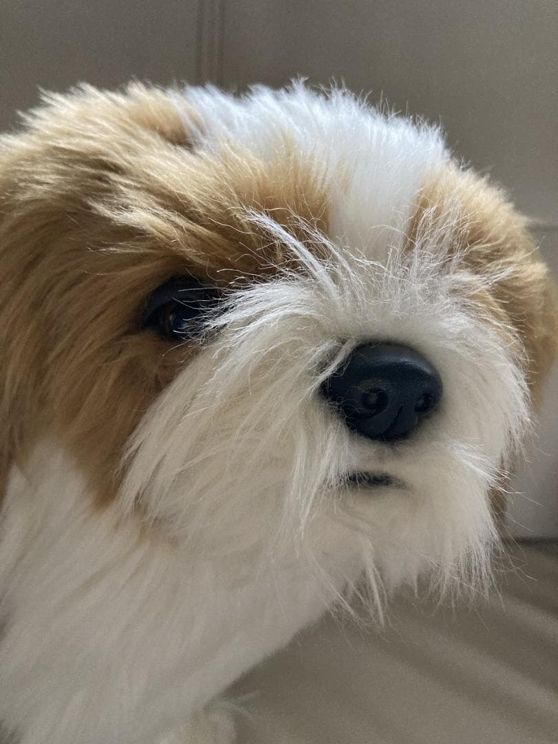 売約済み　HANSA　シーズー　ティディベア２点セット