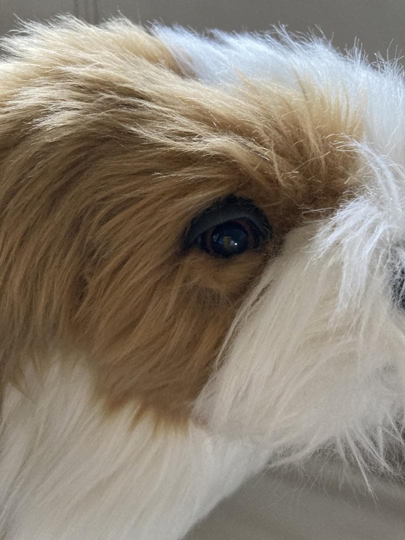 売約済み　HANSA　シーズー　ティディベア２点セット