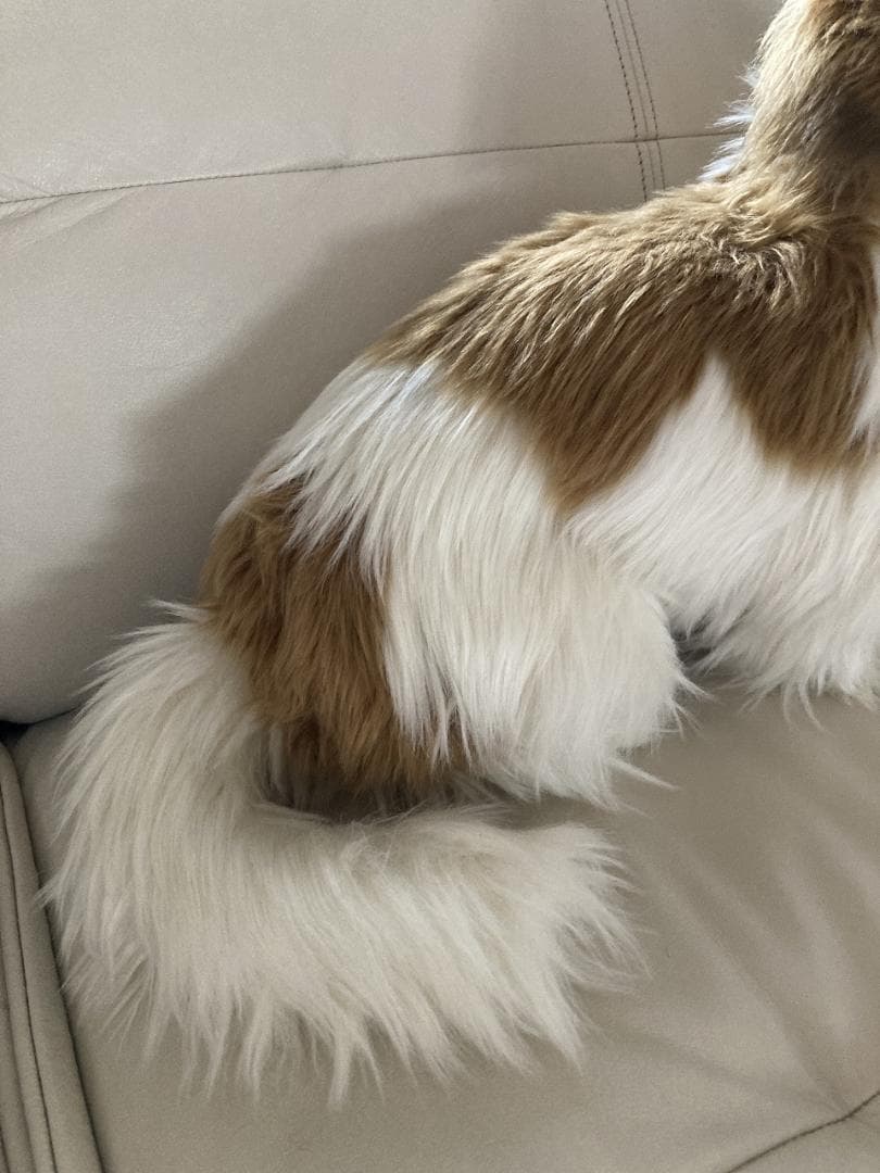 売約済み　HANSA　シーズー　ティディベア２点セット