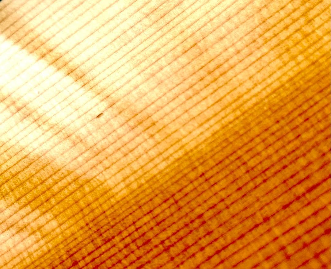 ギター Taylor Guitar 717 - Builder's Edition