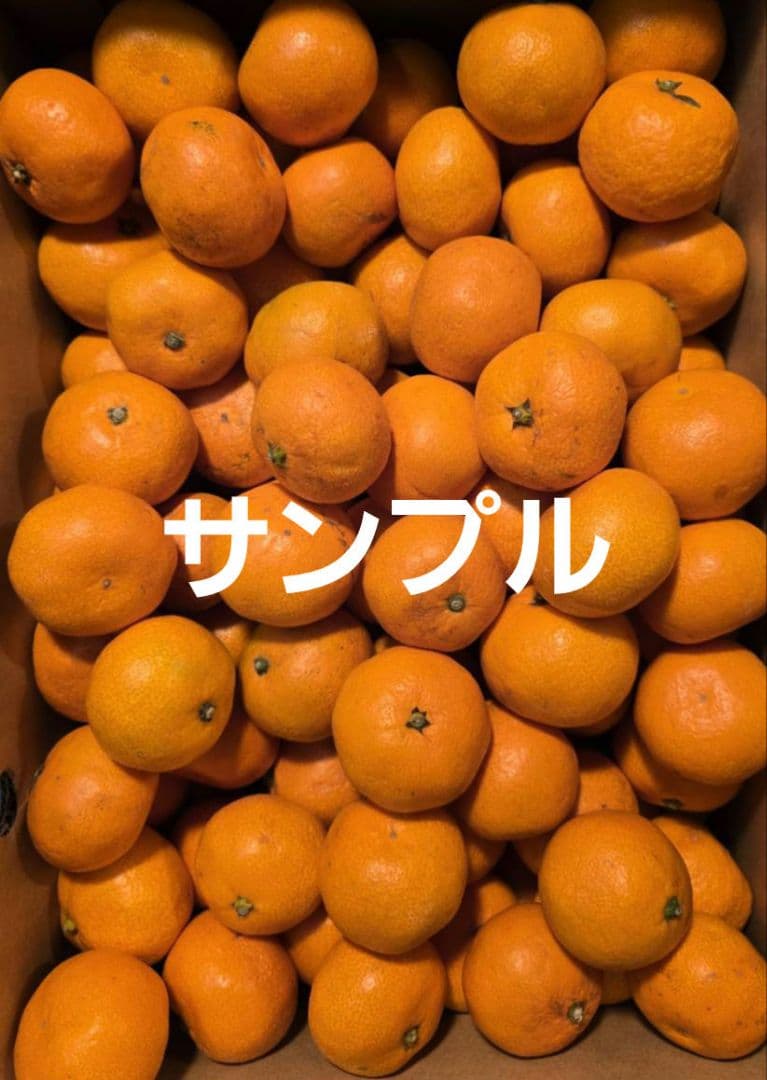 愛媛県産早生みかん超小玉3Sサイズ