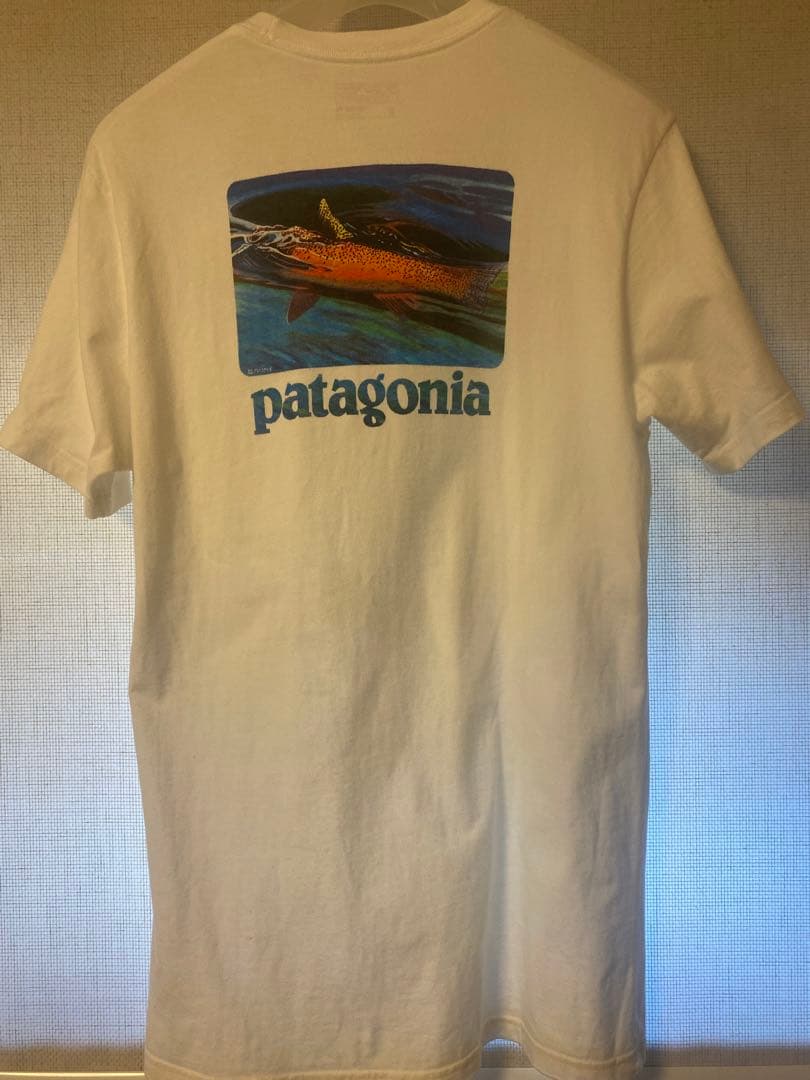 入手困難【Patagonia】World Trout Slurp Tee