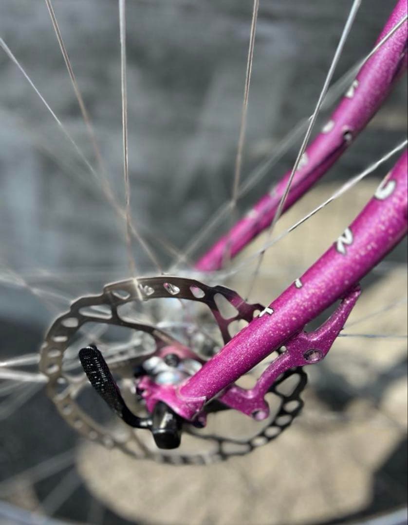 サーリー　ストラグラー　画像のセットプラス　シムワークスタイヤ付き