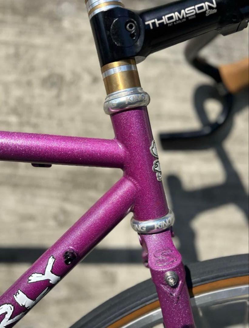 サーリー　ストラグラー　画像のセットプラス　シムワークスタイヤ付き