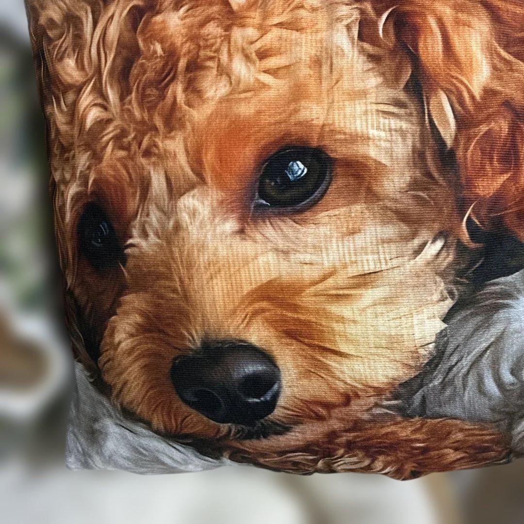 ベッド・マット・カバー ani