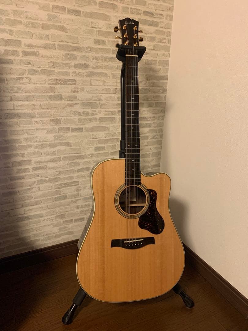 SWITCH D-70C ・switch custom guitar スイッチ