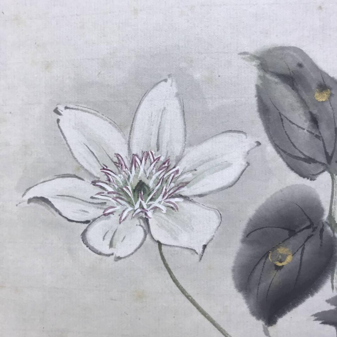 真作/佐藤古岫/鉄綿花図/花図/てっせん/鉄線/鉄仙/掛軸/名家伝来AE-379