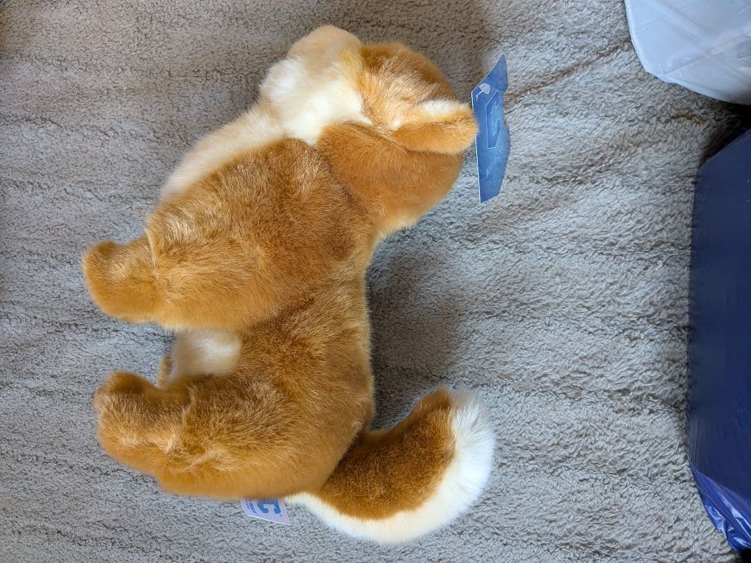 『櫻坂』しかくに