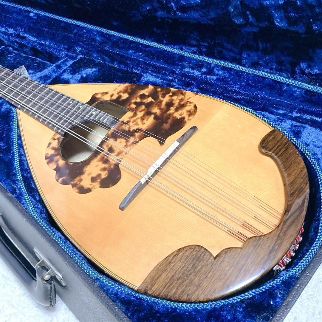 【極希少】マンドリン A50 楽器 ハードケース 中出六太郎