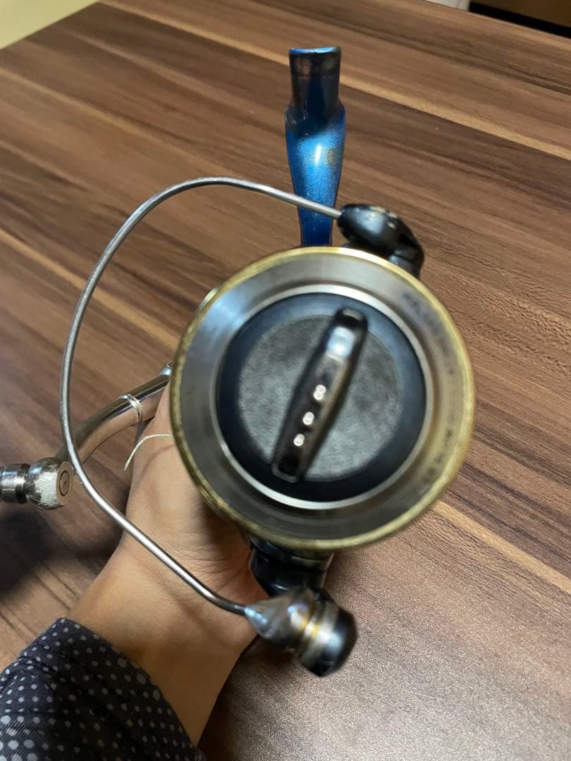 リール STELLA SW 8000PG