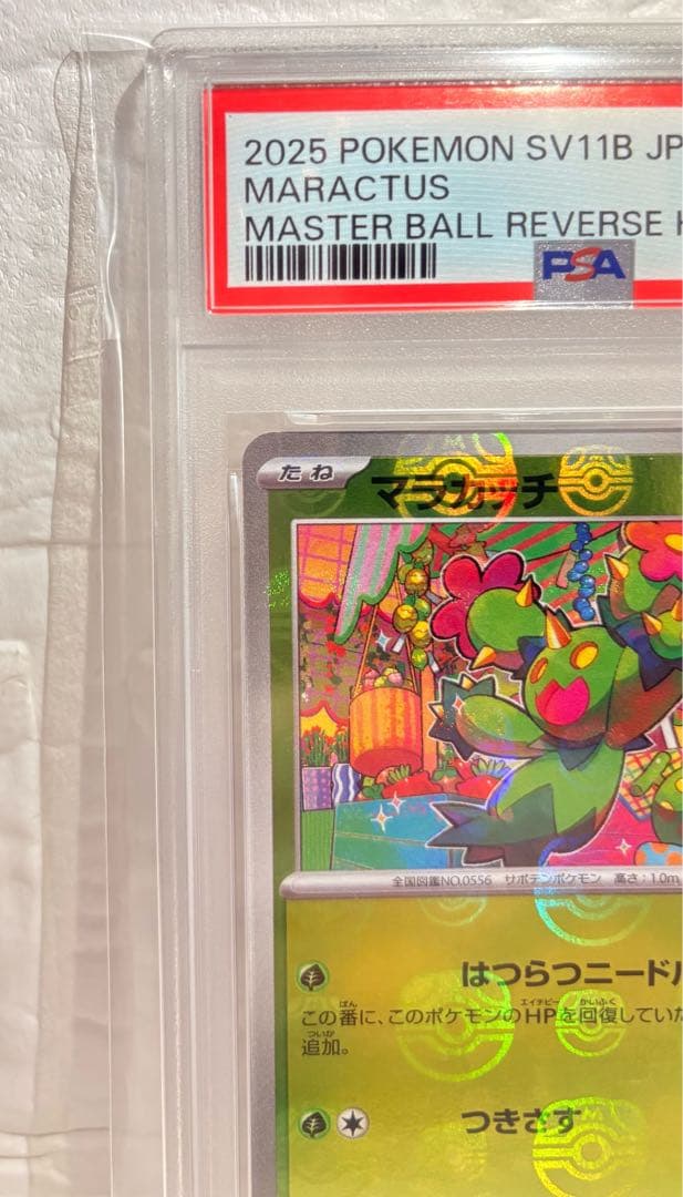 【PSA10】マラカッチ カブルモ マスターボールミラーSV11B 2枚セット