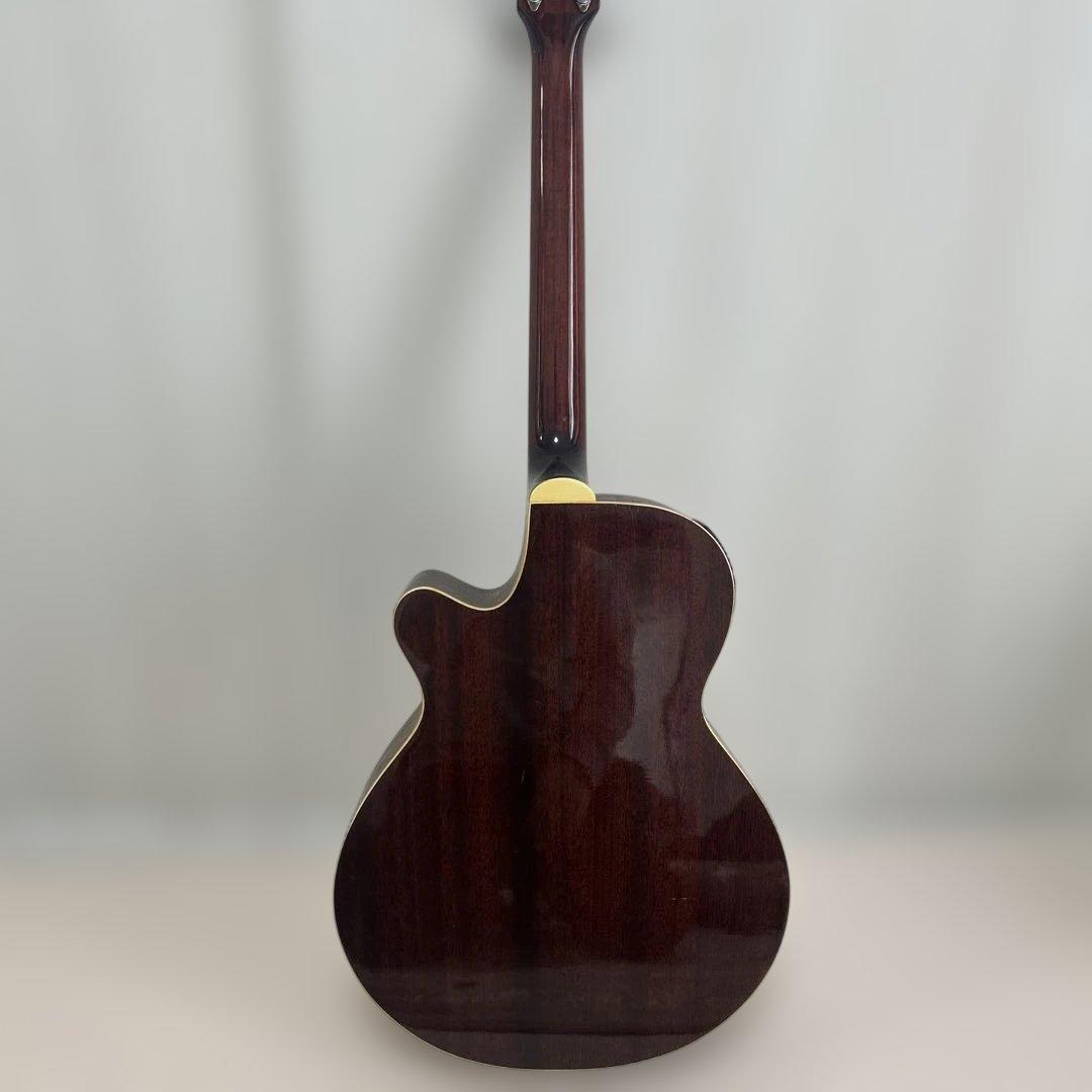 アリア　エレクトリックアコースティックギター