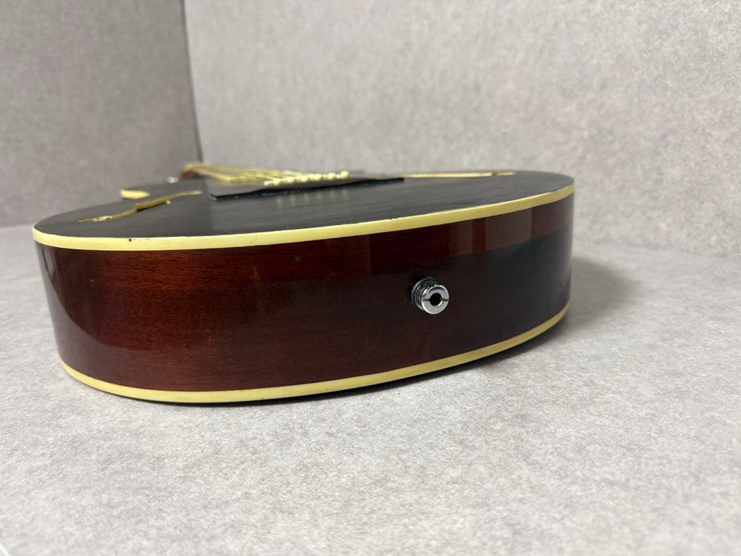 エレアコ Fホール 塗装 詳細不明 ブラック アコースティックギター