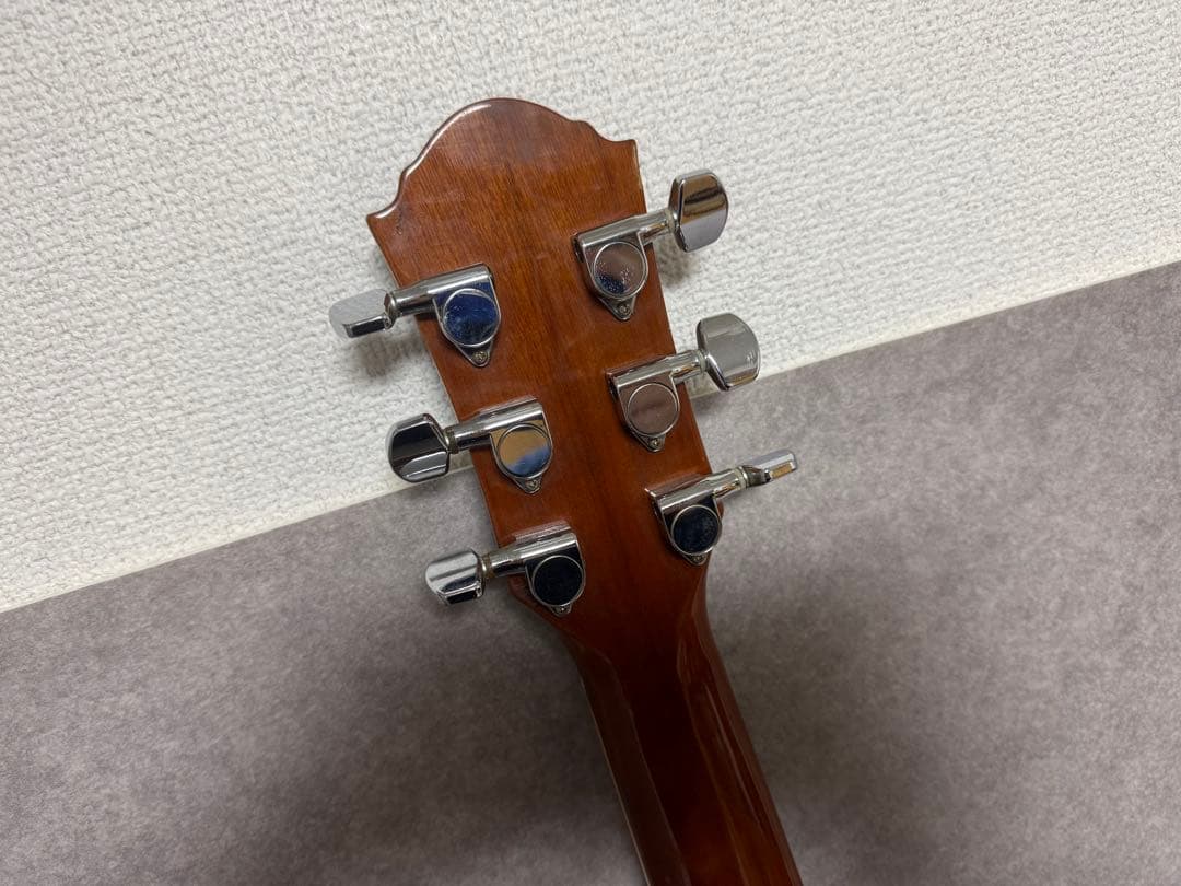 エレアコ Fホール 塗装 詳細不明 ブラック アコースティックギター