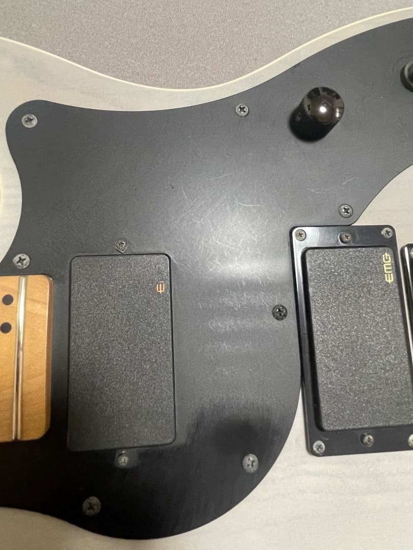 ギター FUJIGEN(FGN) J-Standard JIL2-ASH-DE-M