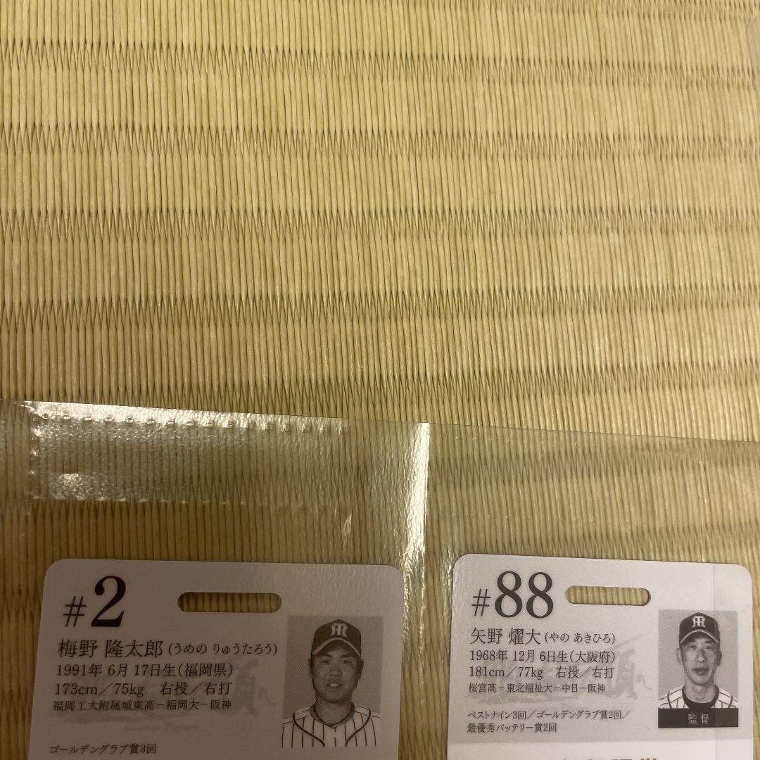 値下げ 阪神タイガース 甲子園 ロイヤルスイート 入場券カード 9枚組