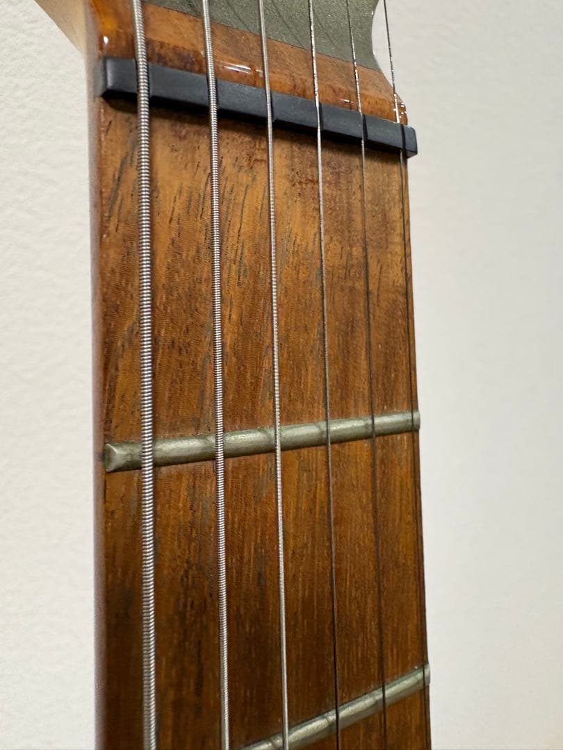 フェルナンデス　サスティナー搭載モデル