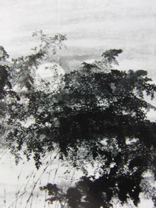 平福　百穂【杜鵑夜】、年代物、希少画集画、状態良好、新品高級額装付