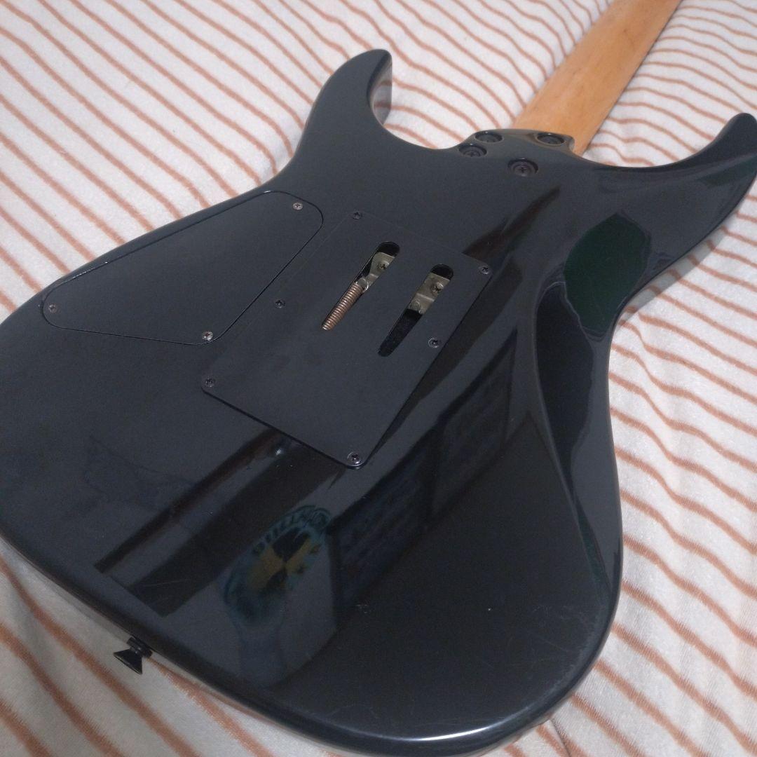 FERNANDES FR-55ソフトケース付