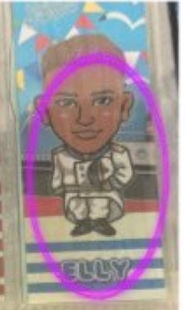 専用ページ【他の方購入禁止】1/29(月)購入