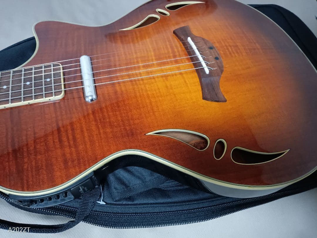 CRAFTER SA-TMVS セミアコ エレキギター ソフトケース付き 動作品