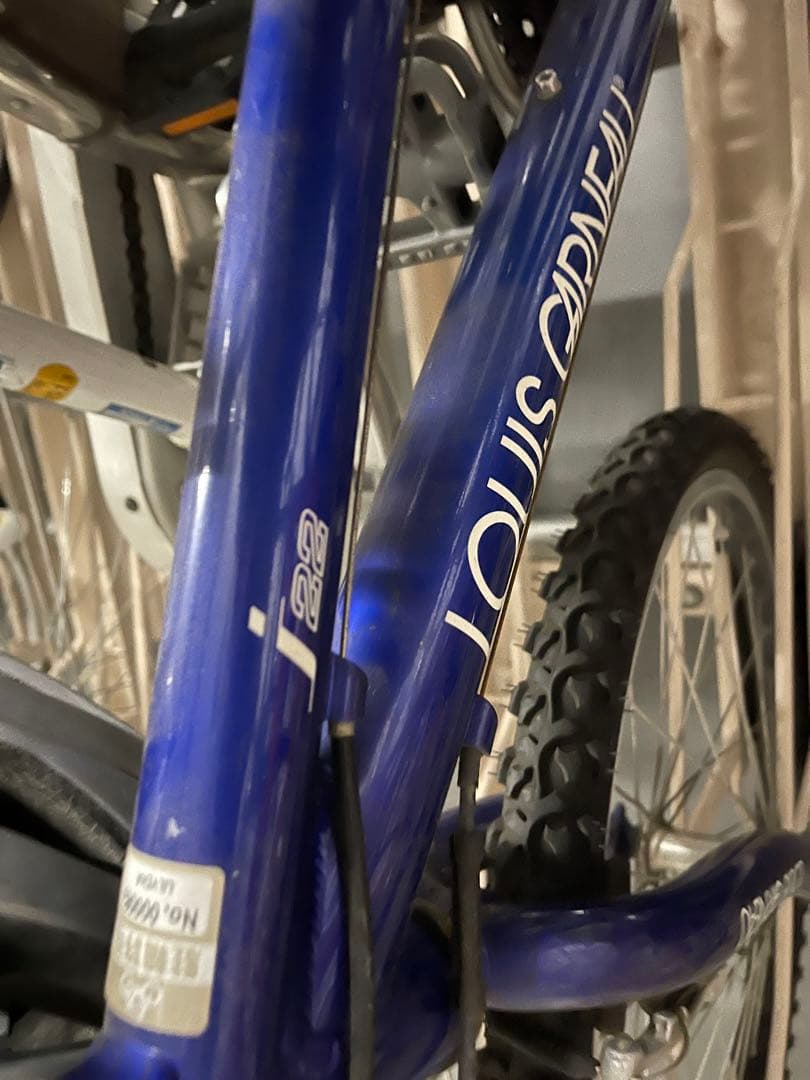 ルイガノ　J22 キッズバイク