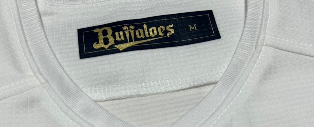 オリックス・バファローズ　岩嵜翔　直筆サイン入りユニフォーム　Mサイズ　2029